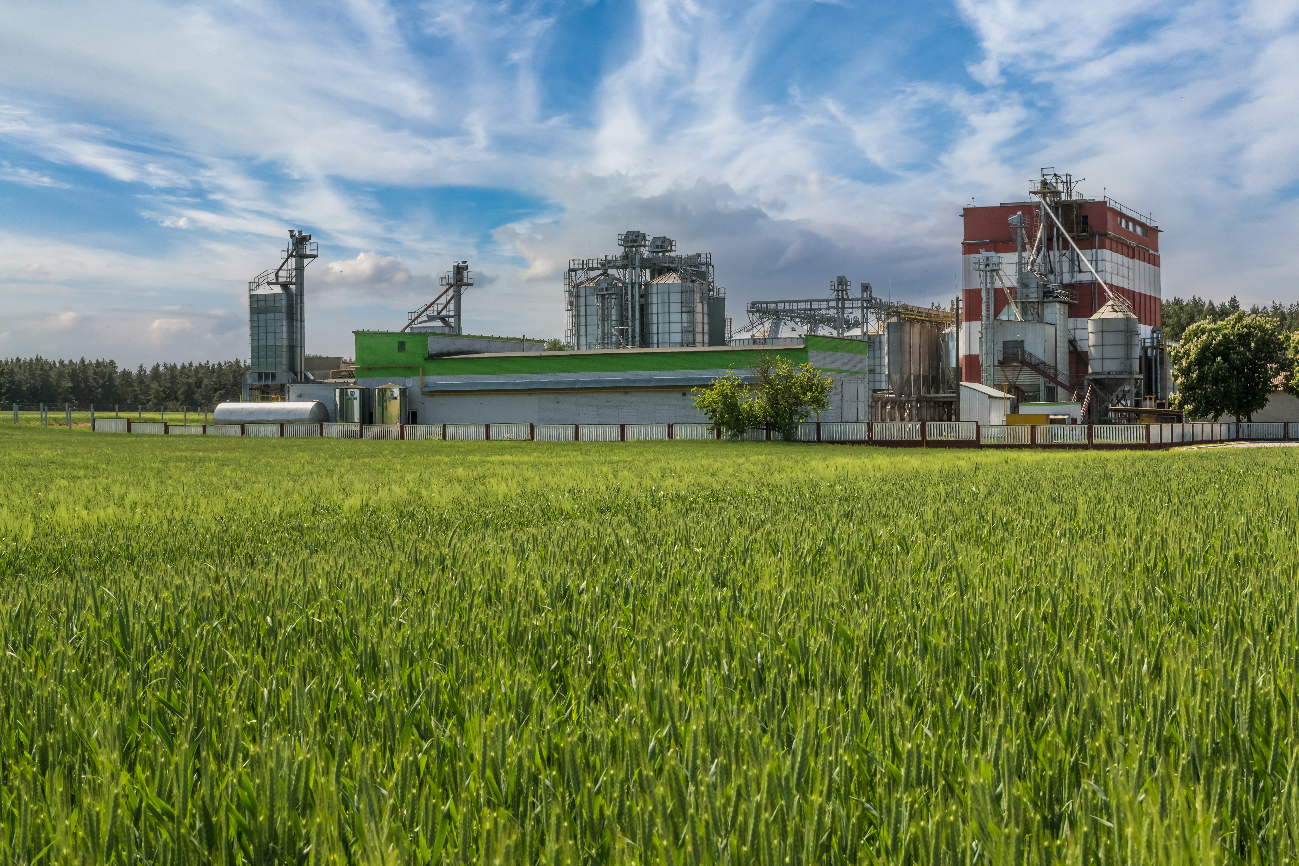 Green Ammonia & Fertilizer Production