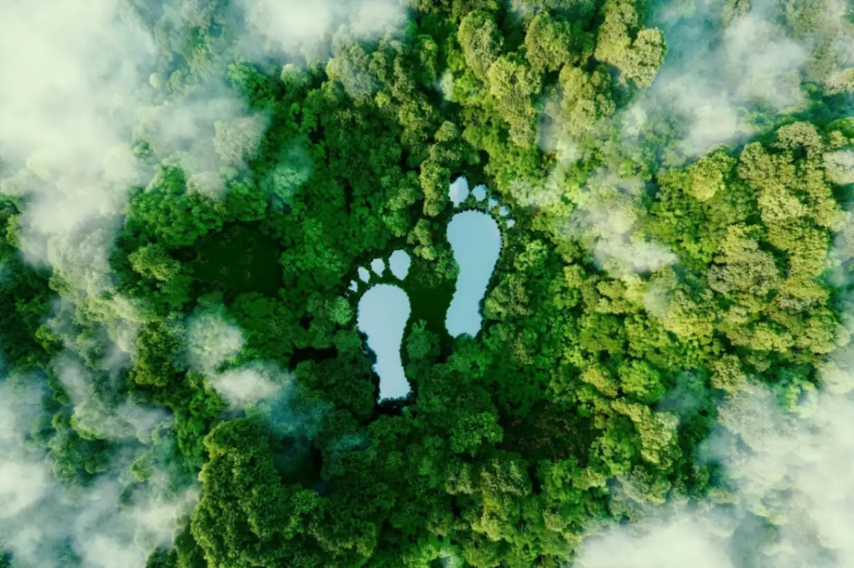 Lower Your Environmental Footprint and Increase Your Profits